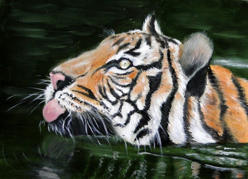 tigre ds l'eau