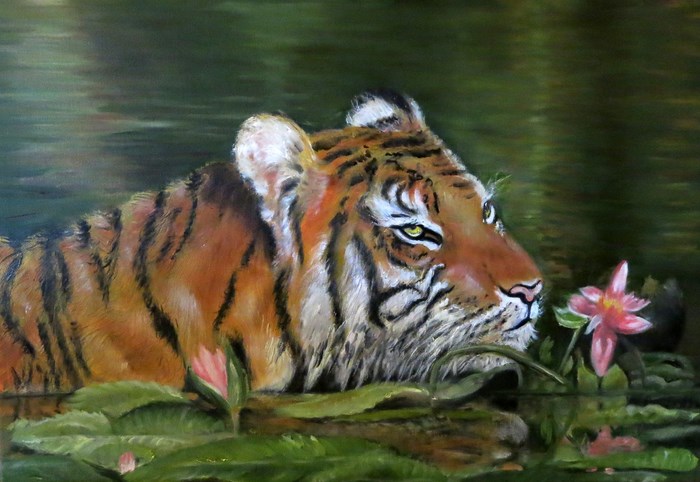 h-tigre au nenuphar 0001.1