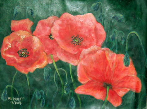 coquelicots 1