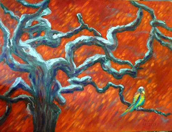 arbre torturé