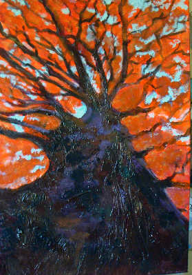 arbre rouge 00001