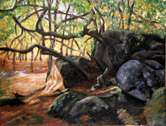 foret de fontainebleau 5