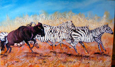 tsavo migration de zebres