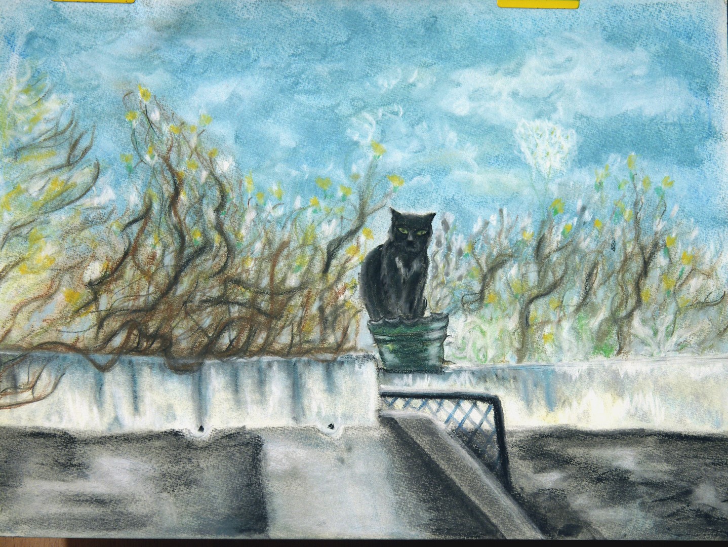 p-chat inconnu 001-1 (Copier)