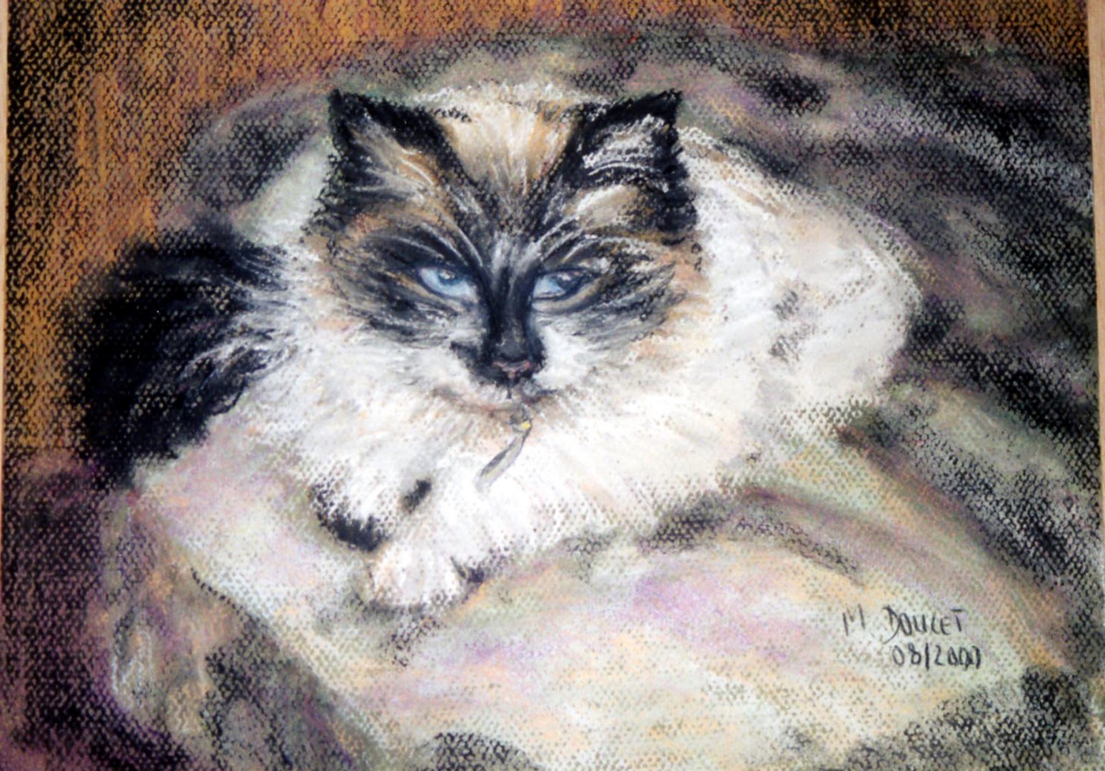 p-chat sylvie 002-1 (Copier)