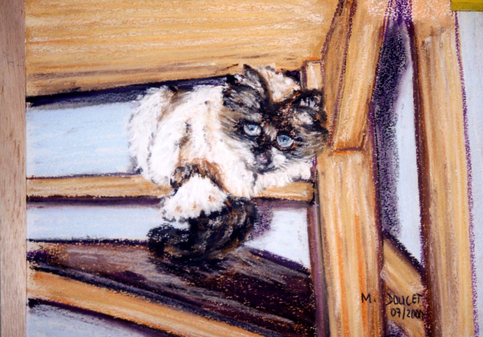 p-chat sylvie 003-1 (Copier)