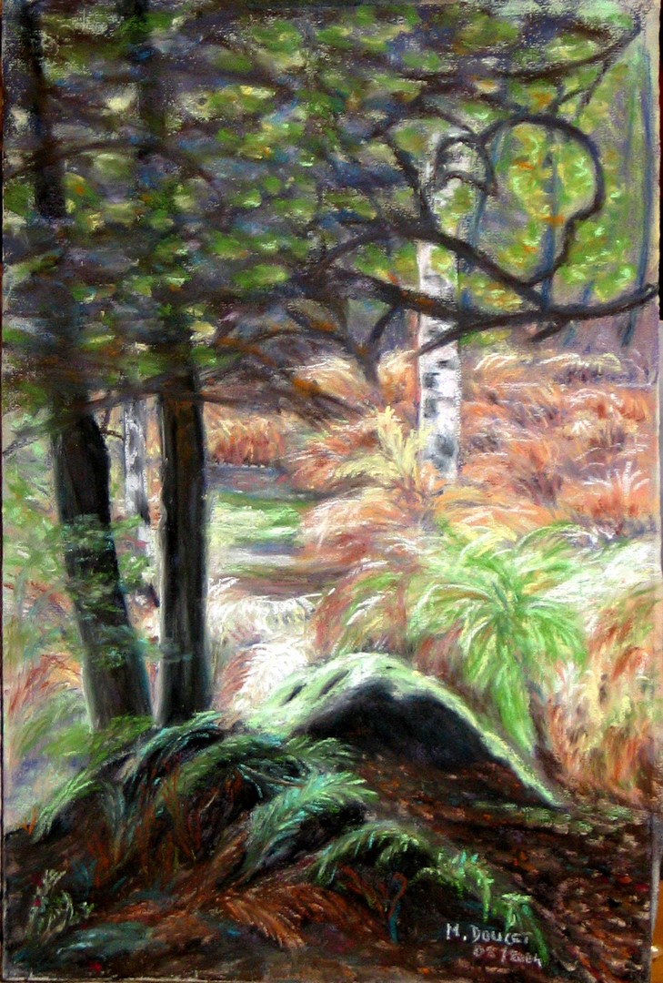 p-fontainebleau forets 002-2 (Copier)