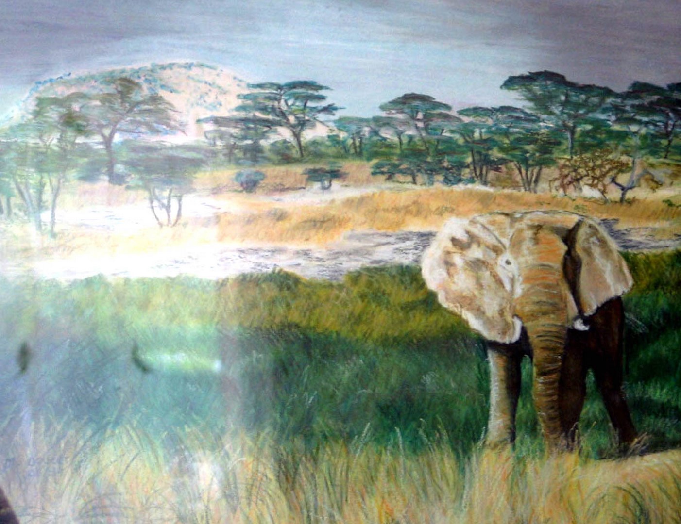 pg-afrique elephant pastel gras -2 (Copier)